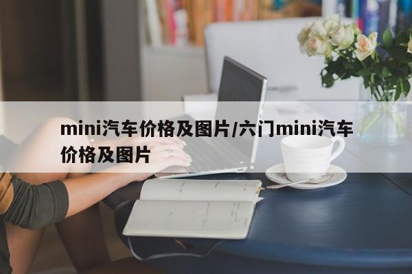 mini汽车价格及图片/六门mini汽车价格及图片
