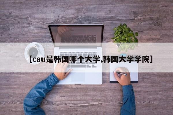 【cau是韩国哪个大学,韩国大学学院】