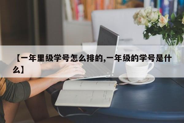 【一年里级学号怎么排的,一年级的学号是什么】