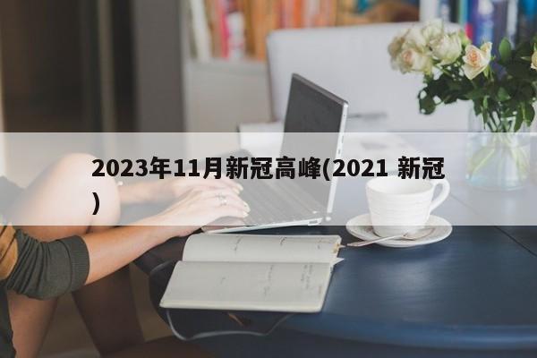 2023年11月新冠高峰(2021 新冠)