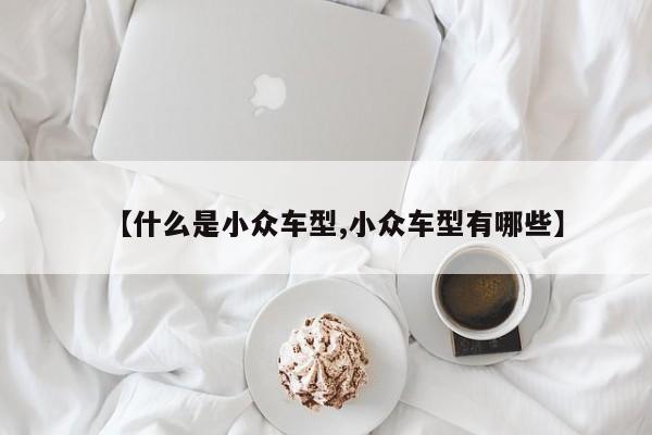 【什么是小众车型,小众车型有哪些】