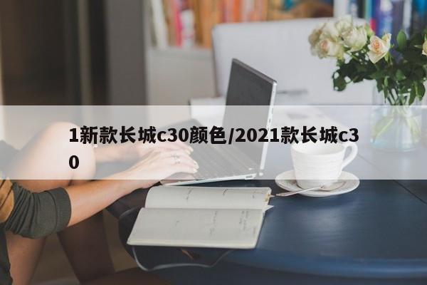 1新款长城c30颜色/2021款长城c30