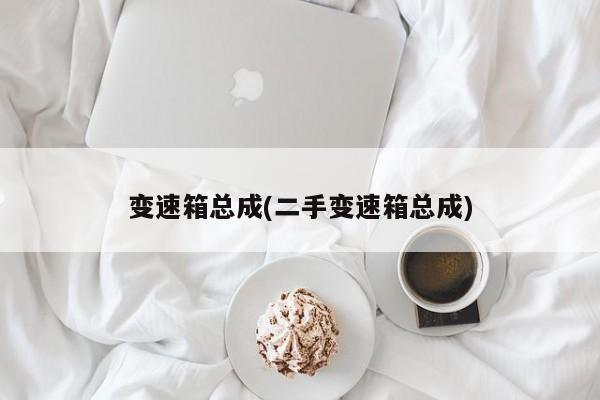 变速箱总成(二手变速箱总成)