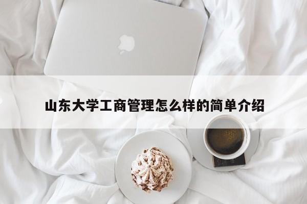 山东大学工商管理怎么样的简单介绍