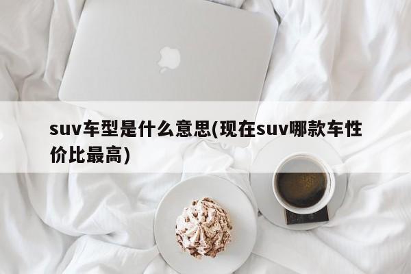 suv车型是什么意思(现在suv哪款车性价比最高)