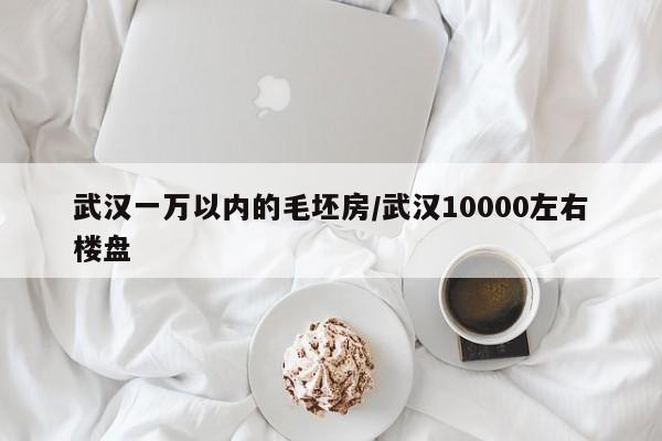 武汉一万以内的毛坯房/武汉10000左右楼盘
